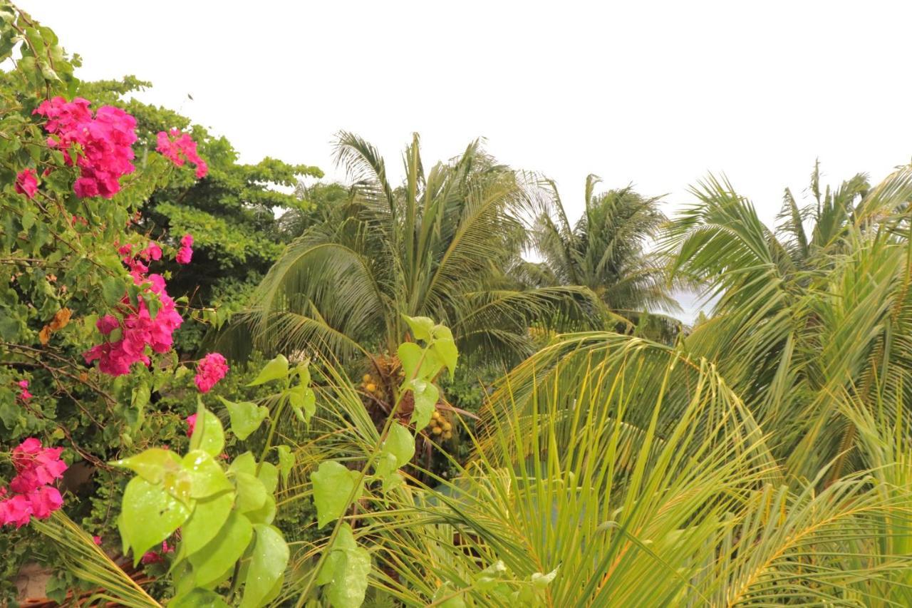 Hotel Posada Seremein ,West Bay ,Roatan 外观 照片