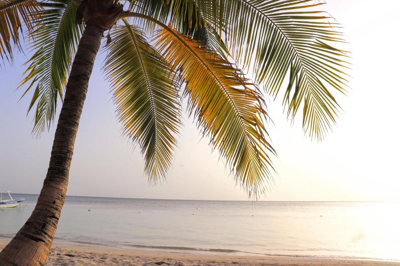 Hotel Posada Seremein ,West Bay ,Roatan 外观 照片