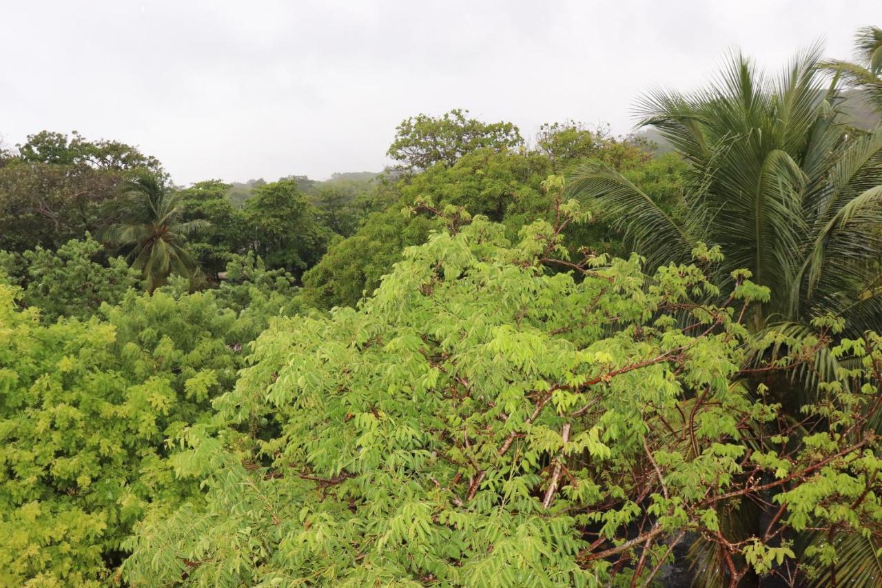 Hotel Posada Seremein ,West Bay ,Roatan 外观 照片